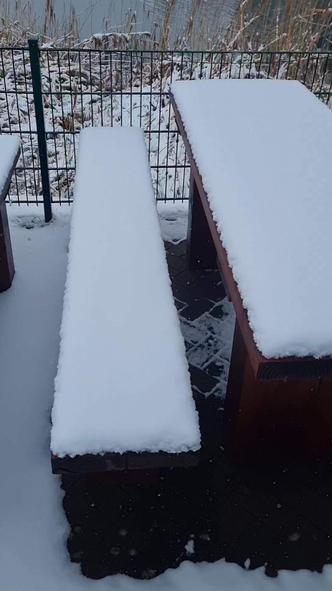 Angel & Forellenteich Bargfeld-Stegen