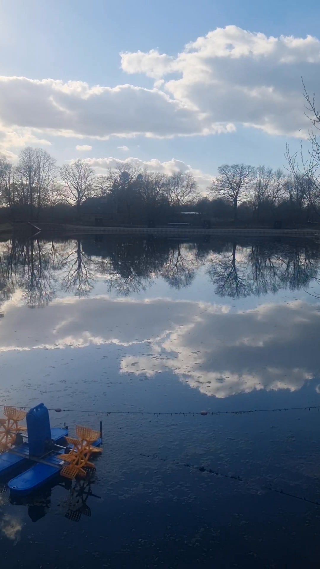 Angel & Forellenteich Bargfeld-Stegen